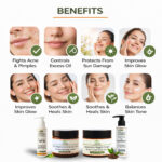 Jyova Complete Skincare Combo for Daily Face Care – Tea Tree Oil Facewash 100ml, SPF 50 Sunscreen 100ml, Clove Neem Oil Anti Acne Cream 50g & Avocado Night Cream 50g | Day & Night Skincare Routine for All Skin Types - Image 2